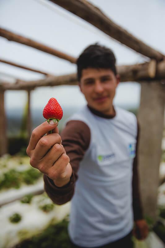 Solid Food - Man holding strawberry